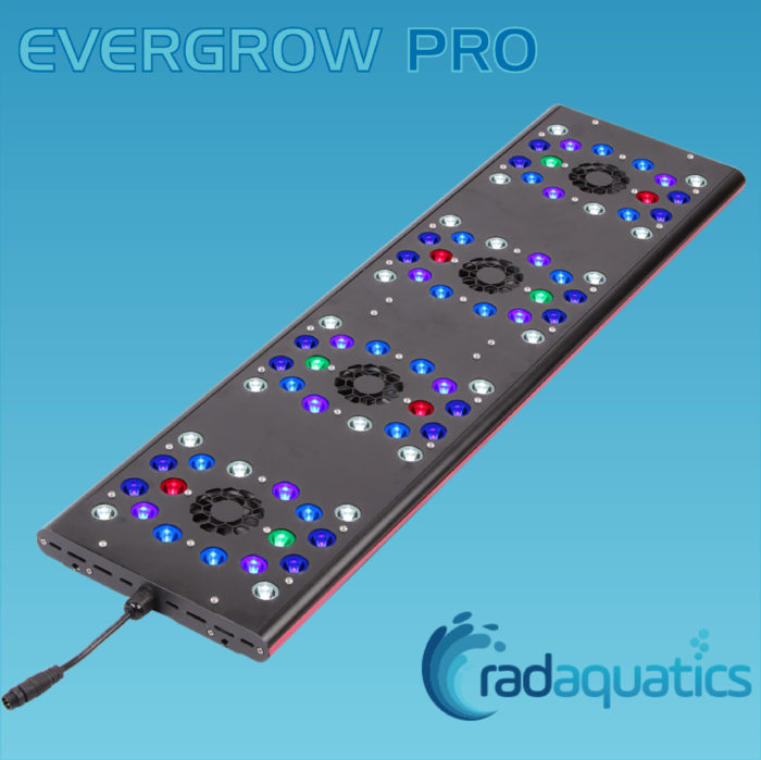 Evergrow AquaOcean IT5080 PRO