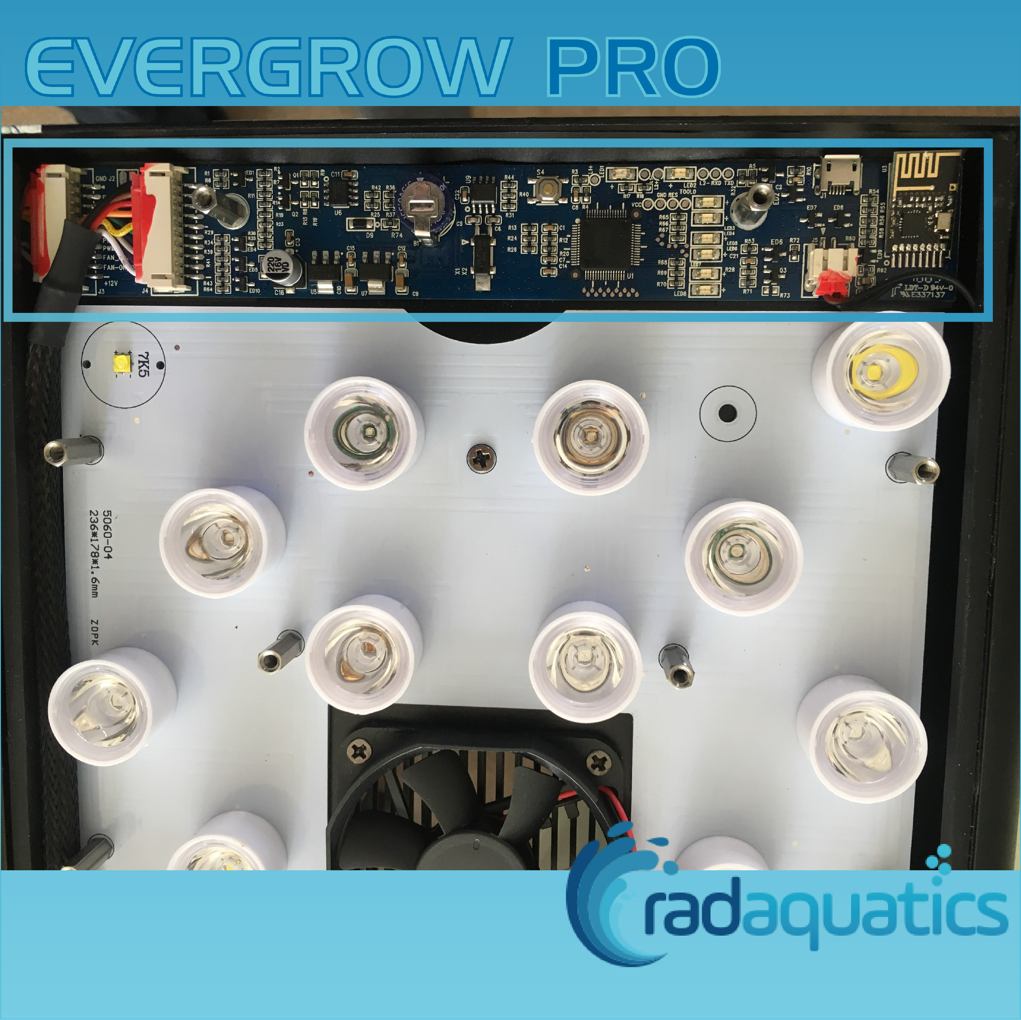 sunflower Speed ​​up hire Evergrow IT50 Pro Upgrade Kit - Evergrow Distributor - RAD Aquatics